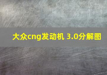 大众cng发动机 3.0分解图